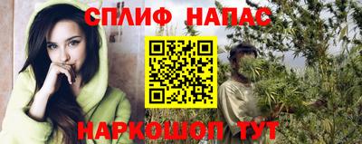 индика Ирбит