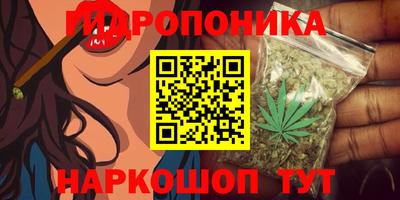 индика Ирбит