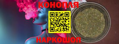 индика Ирбит