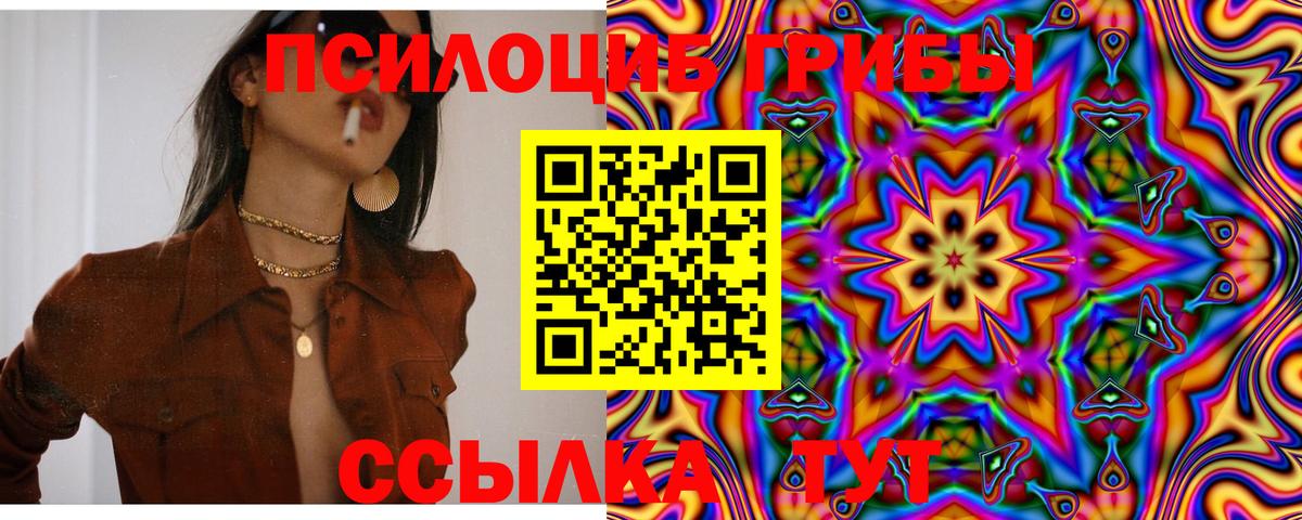 Галлюциногенные грибы Psilocybe  Вход с VPN  что такое   Лабинск 